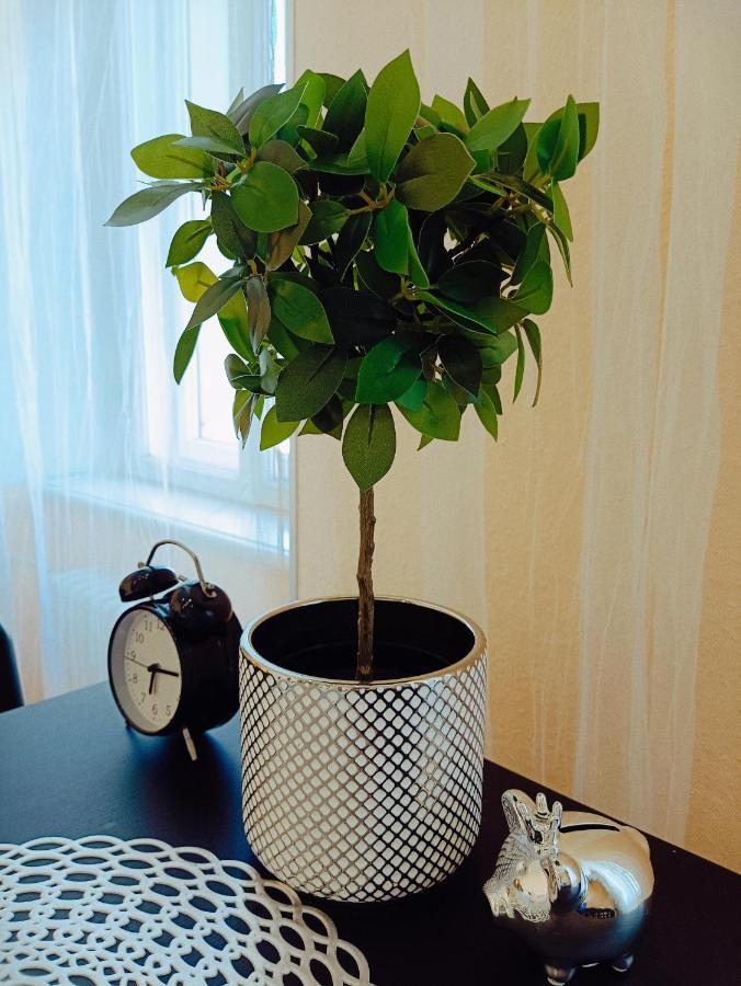 Centrally Located Studio Apartment Riga Bagian luar foto