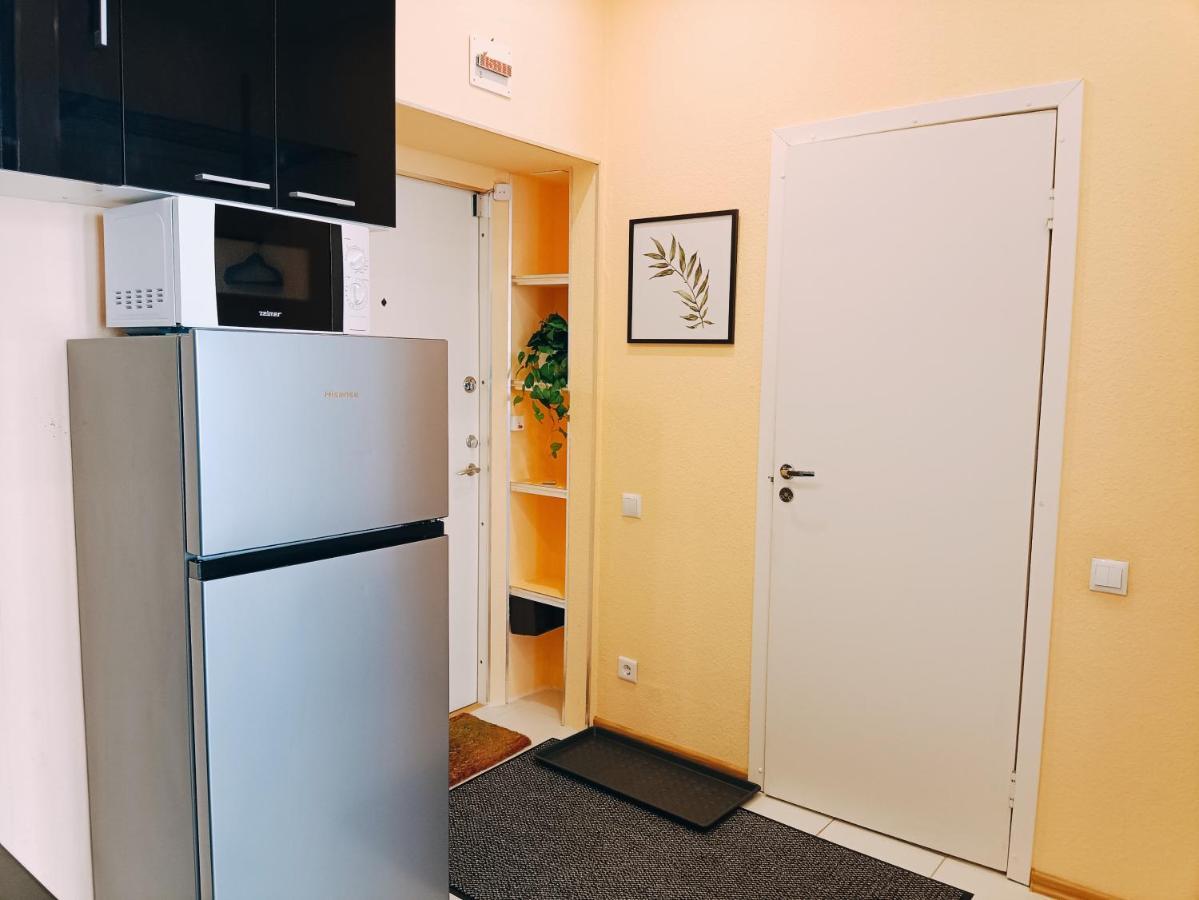 Centrally Located Studio Apartment Riga Bagian luar foto